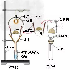 熨烫的原理