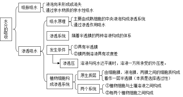 防锈处理和喷漆是一个意思吗