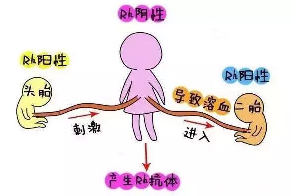 abo溶血症的孩子能要吗